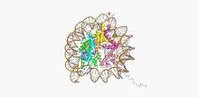 Файл: Nucleosome Complex model.ogv