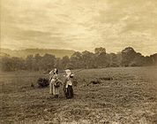 Women in a field, c. 1880