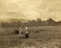 Ženy na poli, asi 1880
