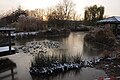 La pièce d'eau en hiver