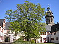 Schloss Ehrenstein, Ohrdruf