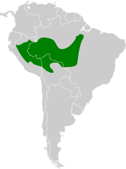 Distribución geográfica del hormiguero colicastaño sureño.