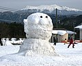 2012年1月18日 (水) 09:43時点における版のサムネイル