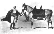 Black and gray photograph of a man in bedouin costume standing in front of a saddled gray horse.