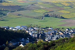 The village of Veldenz as seen from Veldenz Castle