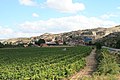 Panoramo de Belmonte de Gracián.