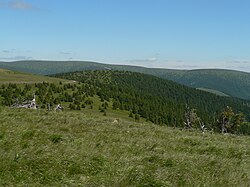 Pohled na Vřesník z Mravenečníku, v pozadí vlevo Vysoká hole, vpravo Velký Máj