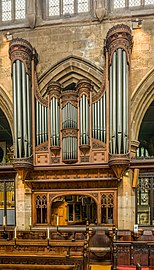 The organ