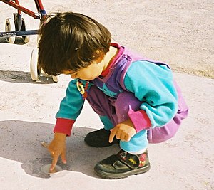 Young child playing at ease in a squatting pos...