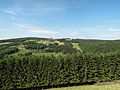 Winseler, Blick auf das Dorf