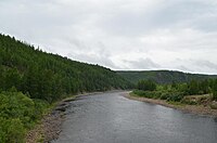 Olyokma Nature Reserve, a temperate needle-leaf forest