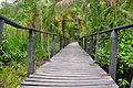 കഹൂയിറ്റ നാഷണൽ പാർക്കിലെ നടപ്പാലം A walking bridge in the Cahuita natural reserve