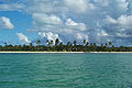 Andros, aux Bahamas