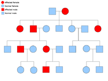 An example pedigree chart of an autosomal dominant disorder. Autosomal dominant.png