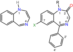 On the left is the chemical structure of the parent benzodiazepine ring system which consists of a seven membered ring containing two nitrogen atoms fused to a six membered ring.  The two nitrogen atoms are labeled one and four.  On the right is the chemical structure of a pharmacologically active benzodiazepine in which alkyl, phenyl, and halogen groups are attached to the one, five, and seven positions respectively and the carbon atom at position two is double bonded to an exocyclic oxygen atom. The ortho and para positions of the phenyl substituent are labeled two-prime and 4-prime respectively.