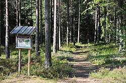 Bjerg Høj naturfredningsområde Nyköping.jpg