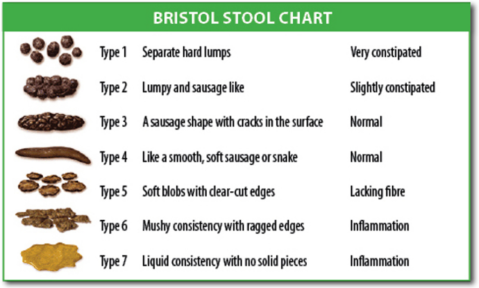 bristol stool scale for determinng healthy poop