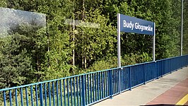 Station Budy Głogowskie