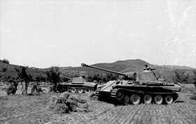 Bundesarchiv Bild 101I-478-2164-39, Italien, Panzer V (Panther) im Gelände.jpg