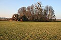 Burg Wachenbuchen, Rest einer Turmhügelburg