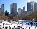 Wollman Rink