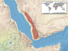 Chamaeleo calyptratus distribution.png