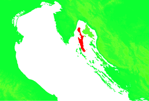 Crepsae collocatio in litorale dalmatico