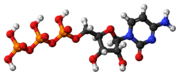citidina trifosfato