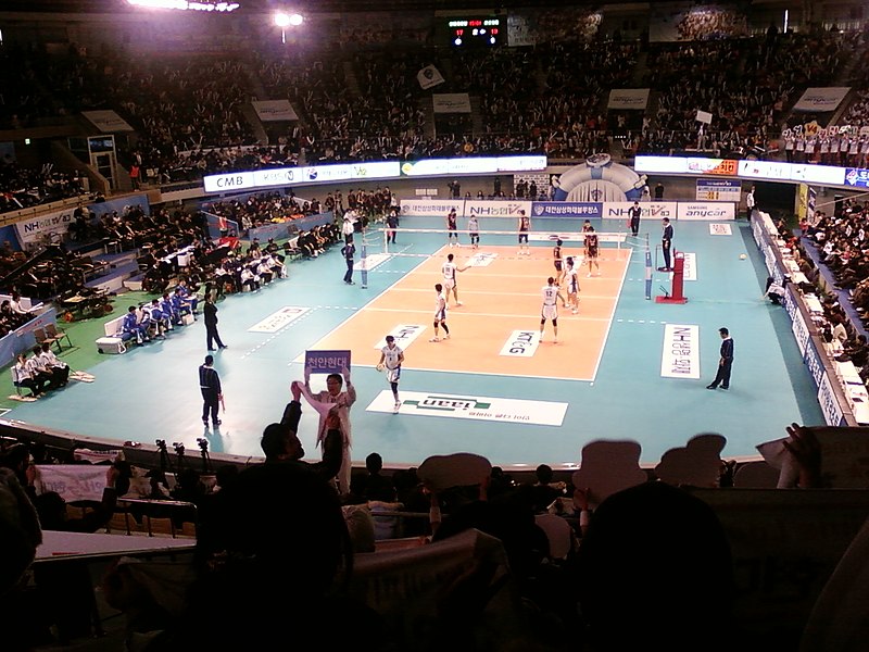 파일:Daejeon Chungmu Gymnasium indoor volleyball.jpg