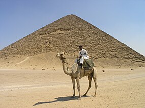 Dahshur - Red Pyramid - Tourist policanoj sur camel.JPG