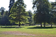 Elijah Bristow State Park 1 (Plaĉa Monteto, Oregono).jpg