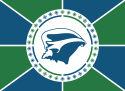 Flag of the Territorial Collectivity of Martinique.svg