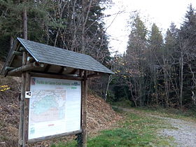 Image illustrative de l’article Forêt de Sainte-Croix-Volvestre