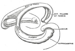 Ilustracja