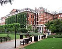 Guys campus kcl 2.jpg