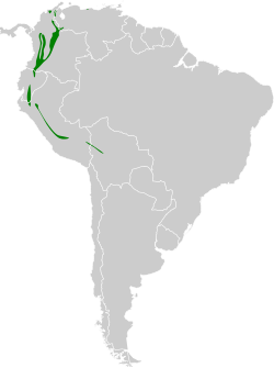 Distribución geográfica del titirijí gorjinegro.