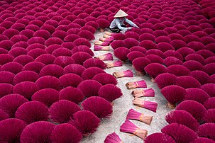 Encens en bouquets, près de Hanoï. (définition réelle 7 008 × 4 672)