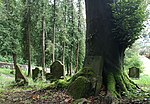 Hohenems, Jüdischer Friedhof