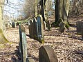 Jüdischer Friedhof in Birstein