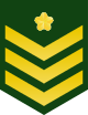 80px-JGSDF_Leading_Private_insignia_%28a%29.svg.png