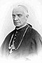 Kardynał Jan Puzyna