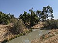 Lower Silver Creek (Coyote Creek tributary)