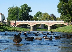 Kacsák a Madon folyón, Mirecourt-nál