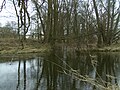 Mündung der Nördlichen Regnitz (im Hintergrund) in die Saale (von rechts)