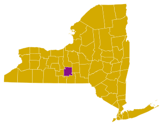 New York Democratic presidential primary election results by county, 2008.svg