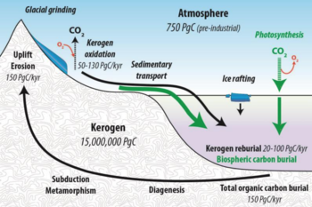 Organic carbon cycle including the flow of kerogen.png