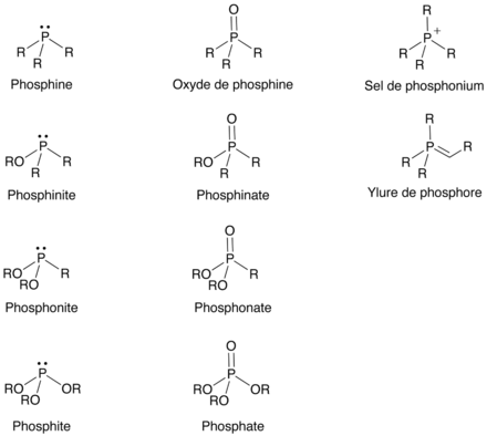 Les différentes classes de composés organophosphorés