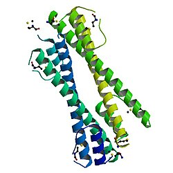 PBB протеин BCR image.jpg