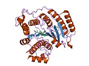 1t67: ساختار کریستالی هیستون دِاَستیلاز ۸ انسان در ترکیب با مولکول MS-344