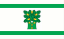 Drapeau de Gmina Ojrzeń